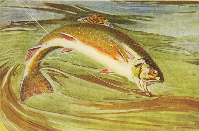 The Speckled Brook Trout (Salvelinus Fontinalis), Charles Hallock and Louis Rhead, 1902, frontispiece, Speckled Brook Trout